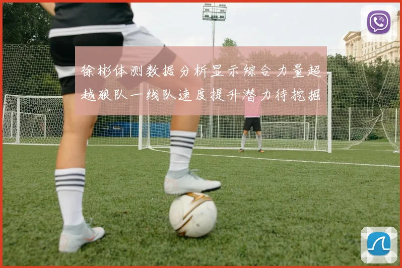 徐彬体测数据分析显示综合力量超越狼队一线队速度提升潜力待挖掘