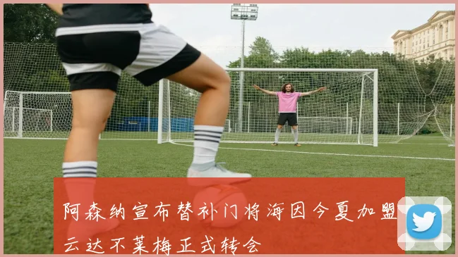 阿森纳宣布替补门将海因今夏加盟云达不莱梅正式转会